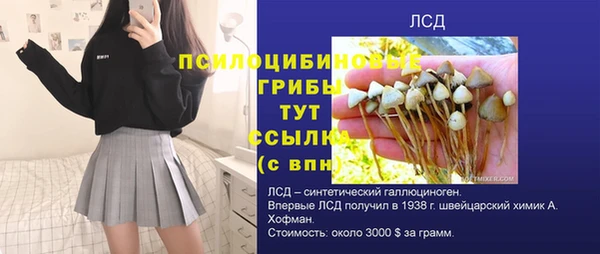 mix Богородск