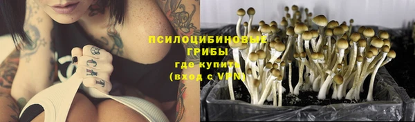 МДПВ Богданович