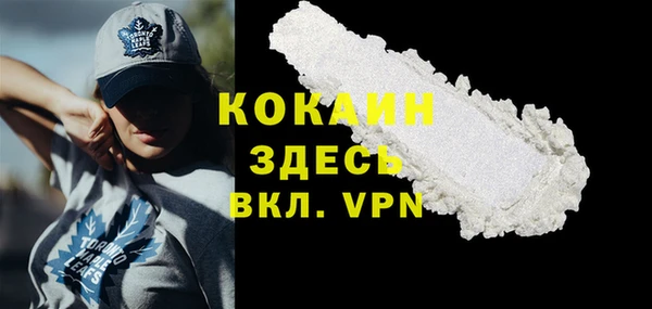 PSILOCYBIN Богородицк