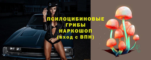 PSILOCYBIN Богородицк