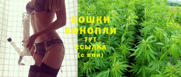 mix Богородск