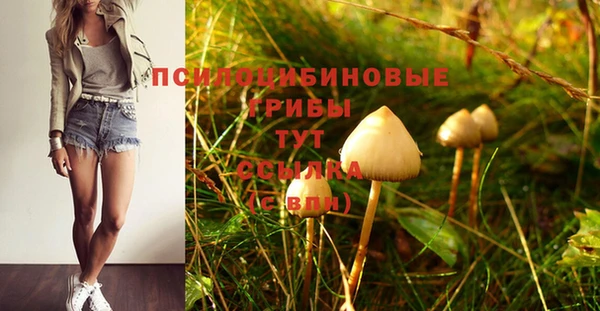 МДПВ Богданович