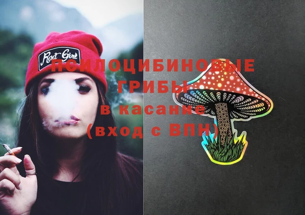 PSILOCYBIN Богородицк