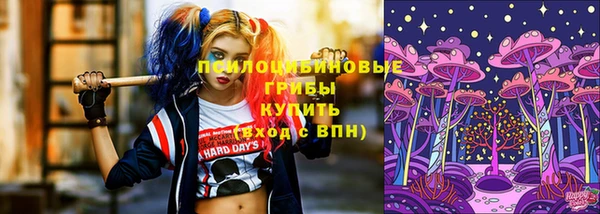 МДПВ Богданович