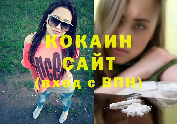 mix Богородск