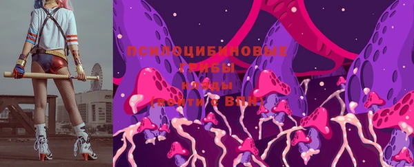 МДПВ Богданович